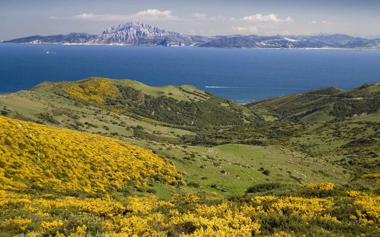 Parque natural del estrecho e1587905597301 - El Estrecho Natural Park-Andalusia-Spain