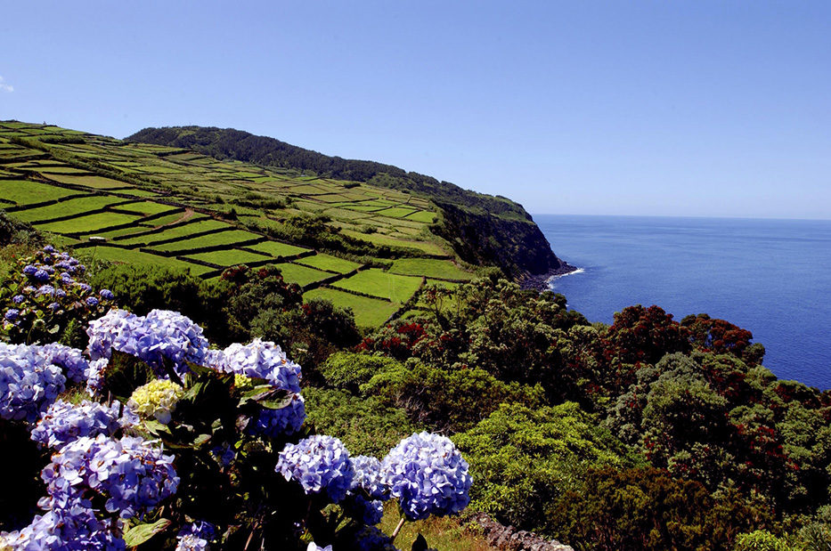 Terceira e1590353459865 - Terceira-Azores Islands-Portugal