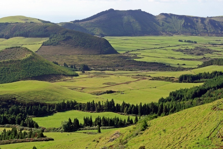 parquenaturalterceira - Terceira-Azores Islands-Portugal